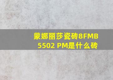 蒙娜丽莎瓷砖8FMB5502 PM是什么砖